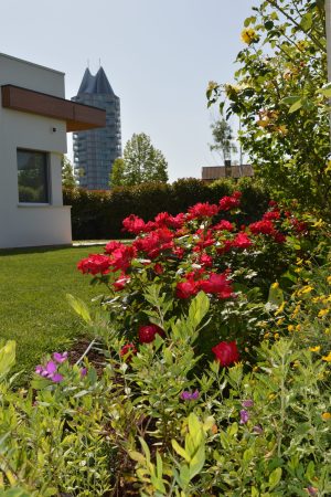 Progetto giardino di casa privata